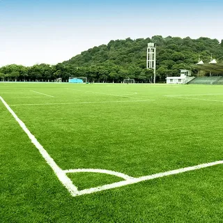 Sports Field Care and Soil Conservation Balance