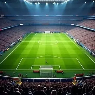 Sustainable Stadium Design and Soil Protection